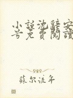 小说沈辞安乔若兮免费阅读