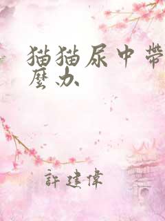 猫猫尿中带血怎么办