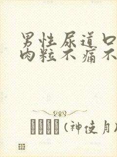 男性尿道口有小肉粒不痛不痒