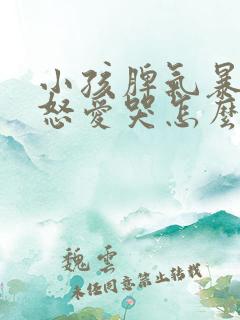 小孩脾气暴躁易怒爱哭怎么办