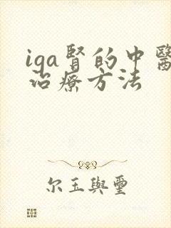 iga肾的中医治疗方法