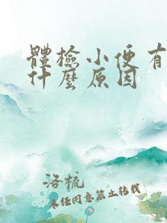 体检小便有血是什么原因