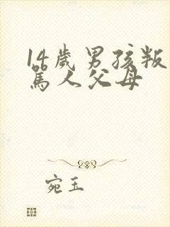 14岁男孩叛逆骂人父母