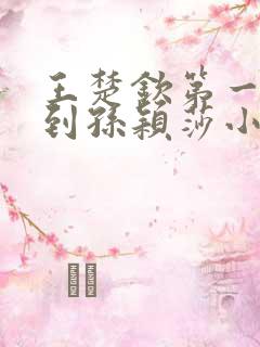 王楚钦第一次得到孙颖莎小说