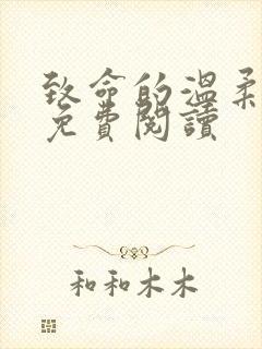 致命的温柔小说免费阅读