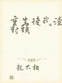 重生后我渣了死对头