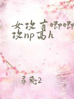 女攻有唧唧的女攻np高h