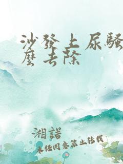 沙发上尿骚味怎么去除