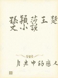 孙颖莎王楚钦人文小说
