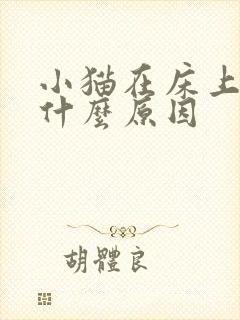 小猫在床上拉尿什么原因