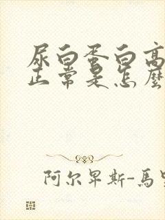 尿白蛋白高肌酐正常是怎么回事