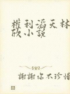 权利滔天林峰宁欣小说