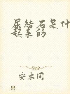 尿结石是什么引起来的