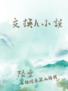 交换h小说