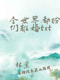 全世界都盼着我们离婚txt