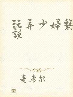 玩弄少妇系列小说