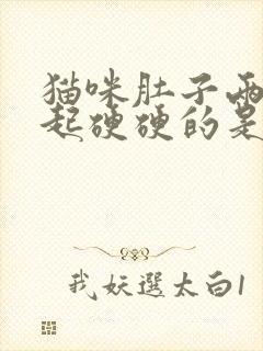 猫咪肚子两边鼓起硬硬的是什么问题