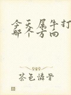 今天属牛打牌坐哪个方向