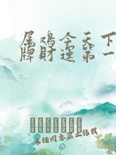 属鸡今天下午打牌财运第一星座