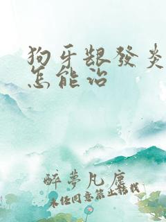 狗牙龈发炎出血怎能治