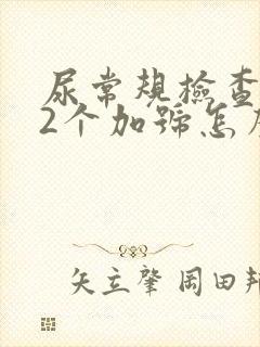 尿常规检查隐血2个加号怎么回事