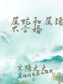 属蛇和属猪的合不合婚