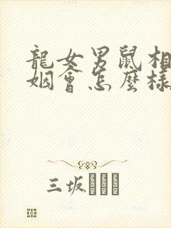 龙女男鼠相配婚姻会怎么样