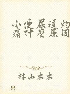 小便尿道灼热刺痛什么原因