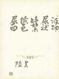 尿检时尿液里有白色絮状物