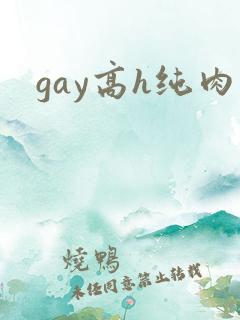 gay高h纯肉