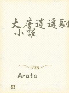 大唐逍遥驸马爷 小说