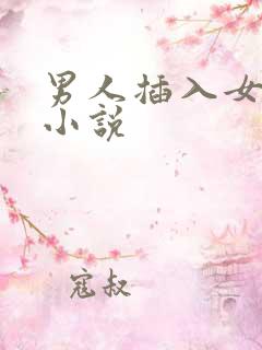 男人插入女人的小说
