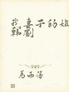 我妻子的姐姐2韩剧