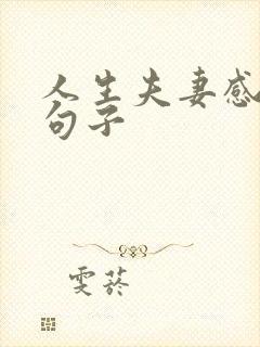 人生夫妻感悟的句子