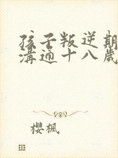 孩子叛逆期如何沟通十八岁的男孩儿