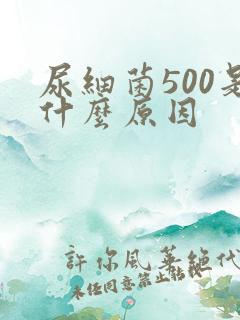 尿细菌500是什么原因