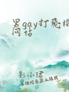男gay打飞机网站