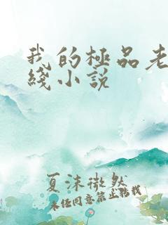 我的极品老婆在线小说