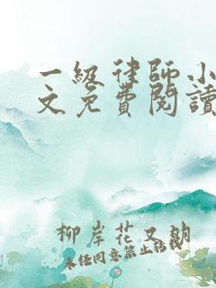 一级律师小说全文免费阅读