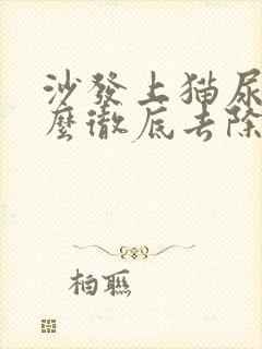 沙发上猫尿味怎么彻底去除