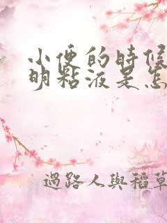 小便的时候有透明粘液是怎么回事