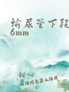 输尿管下段结石6mm
