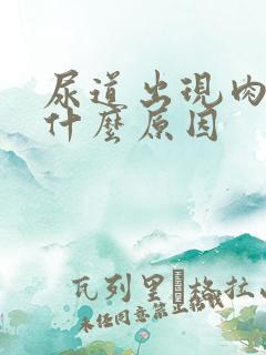 尿道出现肉粒是什么原因