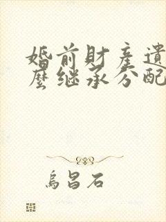 婚前财产遗产怎么继承分配