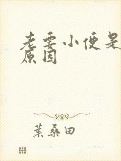 老要小便是什么原因