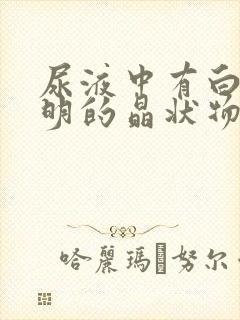 尿液中有白色透明的晶状物