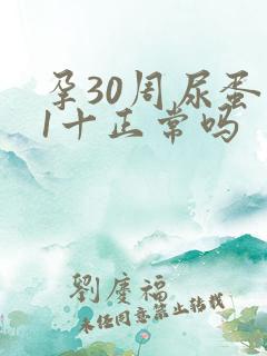 孕30周尿蛋白1十正常吗
