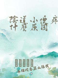 阴道小便疼痛是什么原因