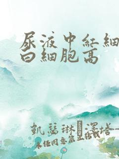 尿液中红细胞和白细胞高