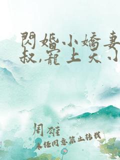 闪婚小娇妻:大叔,宠上天小说